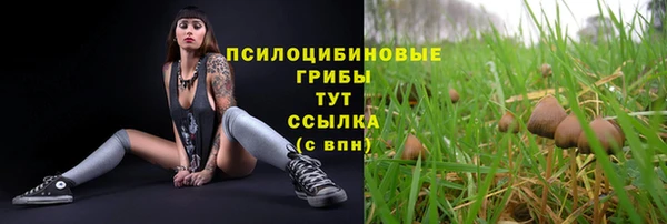 твердый Нязепетровск