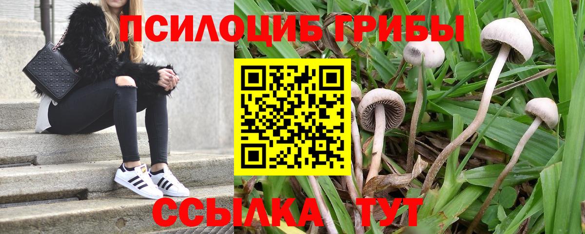 Галлюциногенные грибы мухоморы  Вход с VPN  Старая Купавна 